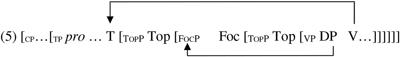 Multilingual Competence Influences Answering Strategies in Italian–German Speakers